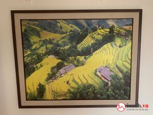 In Tranh Theo Yêu Cầu Bình Thới